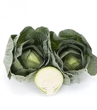 Насіння білоголової капусти Лонгма F1, п.о. 2500 насінин (Rijk Zwaan)