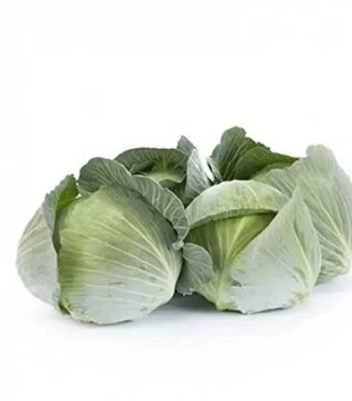 Семена белокочанной капусты Дульсима F1, п.е. 2500 семян (Rijk Zwaan)