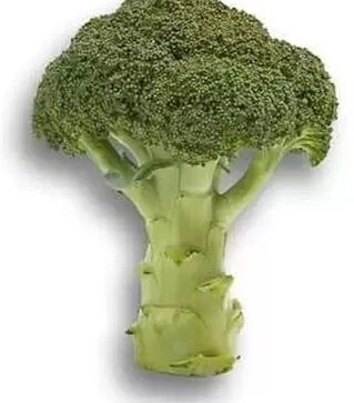 Семена капусты брокколи Агасси F1, п.е. 1 тыс. семян (Rijk Zwaan)