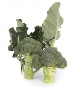 Насіння капусти броколі Ларсон F1, п.о. 1 тис. насінин (Rijk Zwaan)