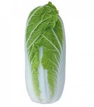 Семена пекинской капусты КС 374 F1, п.е. 2500 семян (Kitano Seeds)