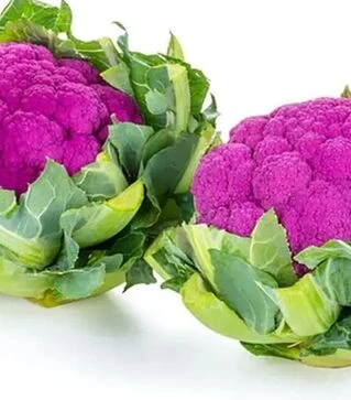 Насіння цвітної капусти Лавендер F1, п.о. 2500 насінин (Rijk Zwaan)