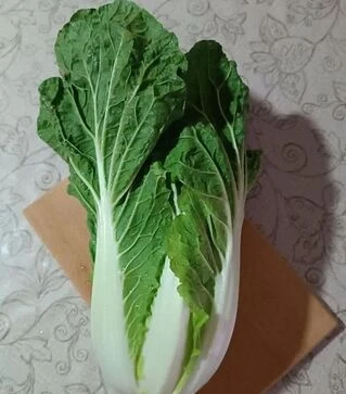 Семена пекинской капусты Генки F1, п.е. 1 тыс. семян (Sakata)