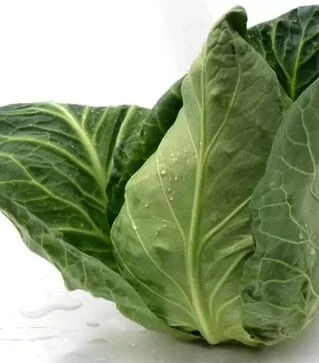 Семена белокочанной капусты Агро F1, п.е. 2500 семян (Spark Seeds)