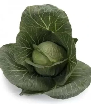 Семена белокочанной капусты Болерома F1, п.е. 2500 семян (Rijk Zwaan)
