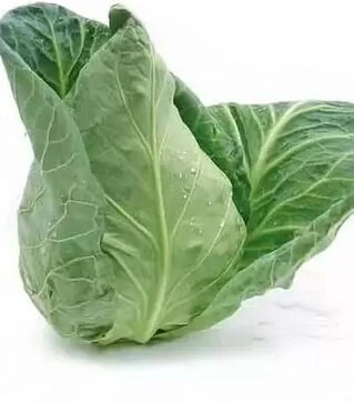 Насіння білоголової капусти Сонсма F1, п.о. 2500 насінин (Rijk Zwaan)