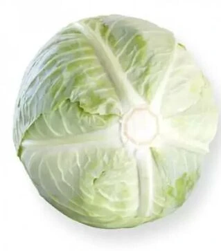 Насіння білоголової капусти Септіма F1, п.о. 2500 насінин (Rijk Zwaan)