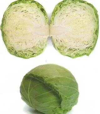 Семена белокочанной капусты Зариссима F1, п.е. 1 тыс. семян (Rijk Zwaan)