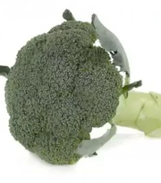 Семена капусты брокколи Орантес F1, п.е. 2500 семян (Rijk Zwaan)