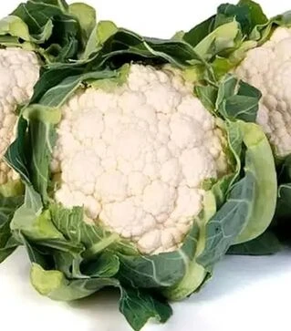 Семена цветной капусты Алстон F1, п.е. 1 тыс. семян (Sakata)