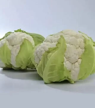 Насіння цвітної капусти Місора F1, п.о. 2500 насінин (Kitano Seeds)