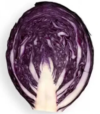 Насіння червоноголової капусти Родіма F1, п.о. 2500 насінин (Rijk Zwaan)