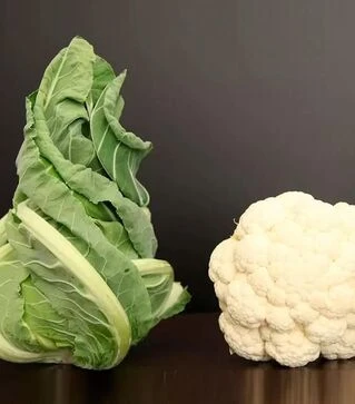 Насіння цвітної капусти Вітон F1, п.о. 1 тис. насінин (Sakata)