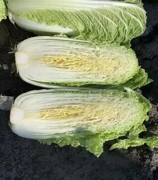 Семена пекинской капусты Бриджит F1, п.е. 2500 семян (Asia Seed)