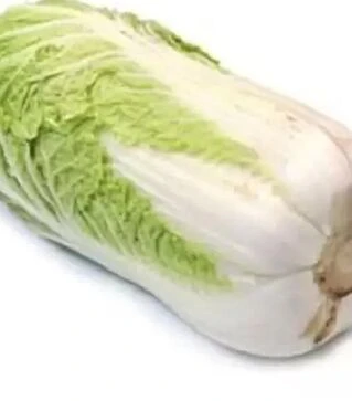 Насіння пекінської капусти Рапід F1, п.о. 2500 насінин (Semo)