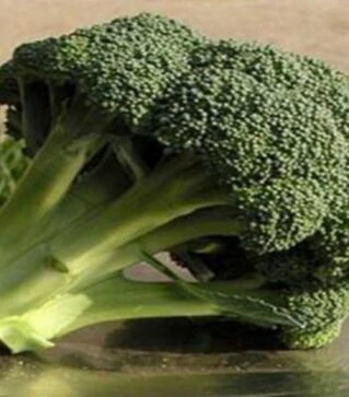 Насіння капусти броколі Айронмен F1, п.о. 100 насінин (Seminis)