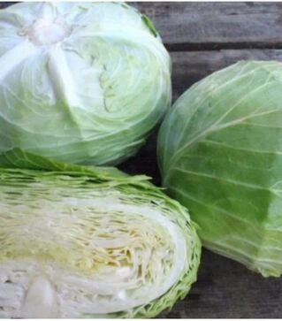 Семена белокочанной капусты Отм Кинг F1, п.о. 2,5 тыс. семян (Takii Seeds)