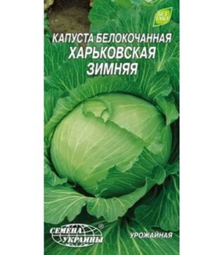 Насіння білоголової капусти Харківська Зимова, 1 г (Насіння України)