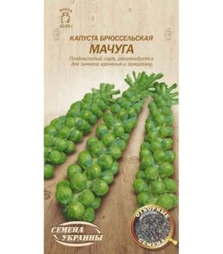 Насіння брюссельської капусти Мачуга, 5 г (Насіння України)