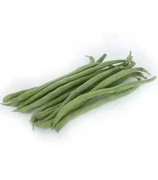 Семена фасоли PL 117, п.е. 5000 семян (Bakker Brothers)