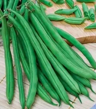 Семена спаржевой фасоли Скуба, 5 кг (Коуэл)