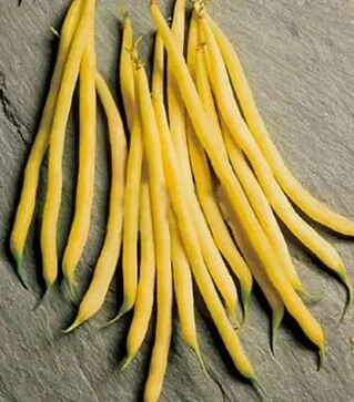 Насіння спаржевої квасолі Фруідор, 500 г (Clause)