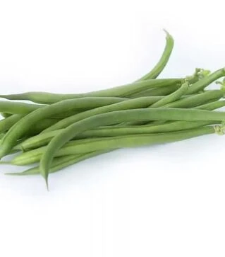 Семена спаржевой фасоли PL 110, п.е. 5 тыс. семян (Bakker Brothers)