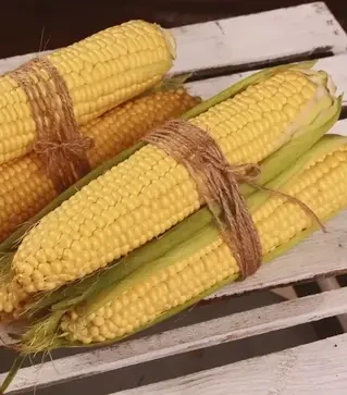 Семена кукурузы Фиона F1, п.е. 4 тыс. семян (Мнагор)