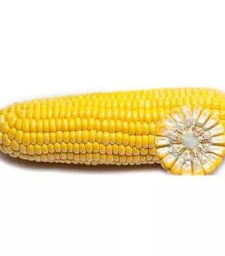 Насіння кукурудзи ГГС 3071 F1, п.о. 100 тис. насінин (Syngenta)