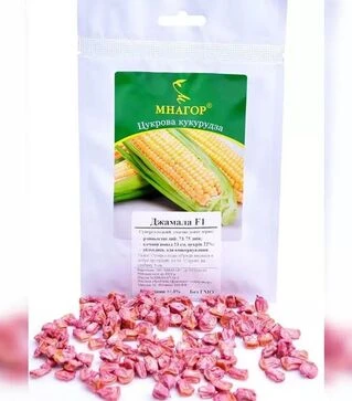 Насіння кукурудзи Джамала F1, п.о. 20 тис насінин (МНАГОР)