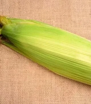 Семена кукурузы Айова F1, п.е. 20 тыс семян (МНАГОР)