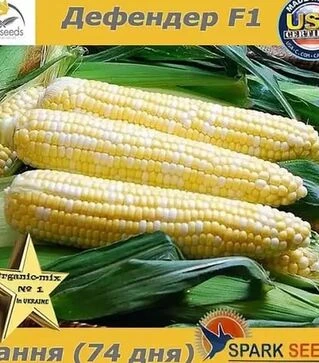 Насіння кукурудзи Дефендер F1, п.о. 25 тис насінин (Spark Seeds)