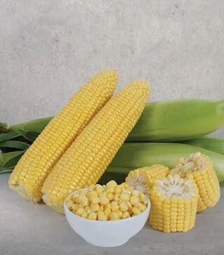 Насіння кукурудзи Макарон F1, п.о. 5 тис.насінин (May Seeds)