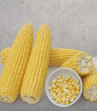 Семена кукурузы Мирза F1, п.е. 5 тыс. семян (May Seeds)