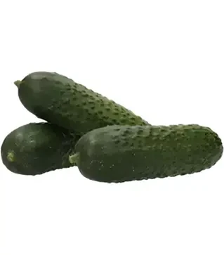 Семена огурца Илонара F1, п.е. 250 семян (Rijk Zwaan)
