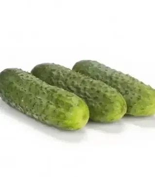 Семена огурца Берлиоз F1, п.е. 1 тыс. семян (Rijk Zwaan)