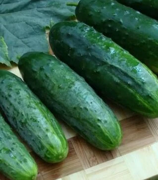 Семена огурца Валерия F1, 1 кг (Moravoseed)