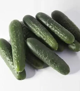 Семена огурца КС 80 F1, п.е. 1 тыс. семян (Kitano Seeds)