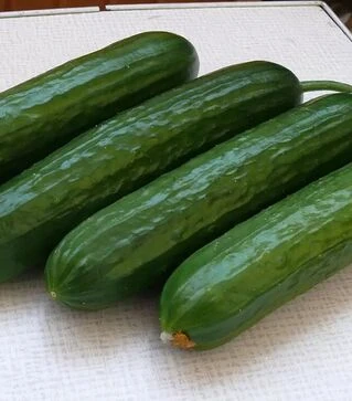 Семена огурца Базис F1, п.е. 1 тыс. семян (Spark Seeds)