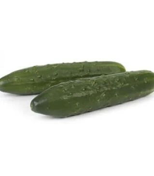 Семена огурца Святогор F1, п.е. 1 тыс. семян (Rijk Zwaan)