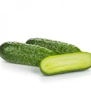 Семена огурца Бридж F1, п.е. 1 тыс. семян (Rijk Zwaan)