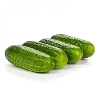 Семена огурца Бридж F1, п.е. 1 тыс. семян (Rijk Zwaan)