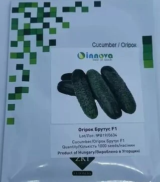 Семена огурца Брутус F1, п.е. 250 семян (Innova Seeds)
