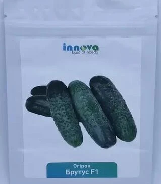Семена огурца Брутус F1, п.е. 250 семян (Innova Seeds)