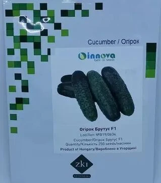 Семена огурца Брутус F1, п.е. 250 семян (Innova Seeds)