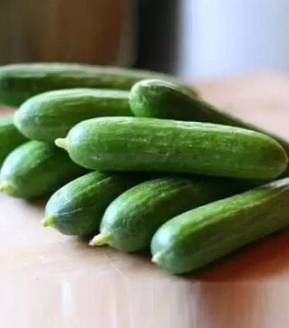 Насіння огірка Супер Бейбі F1, п.о. 500 насінин (Yuksel Tohum)