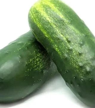 Насіння огірка Пучіні F1, 50 г (Rijk Zwaan)