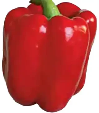 Семена перца Квадрато Асти красный, 500 г (Коуэлл)