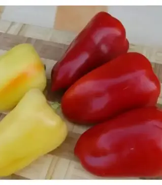 Семена перца Беатрикс F1, п.е. 1 тыс. семян (Moravoseed)