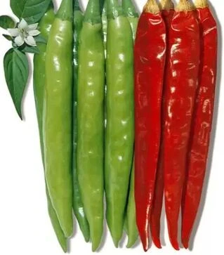 Насіння перцю Ангаріка F1, п.о. 500 насінин (NongWoo Bio)